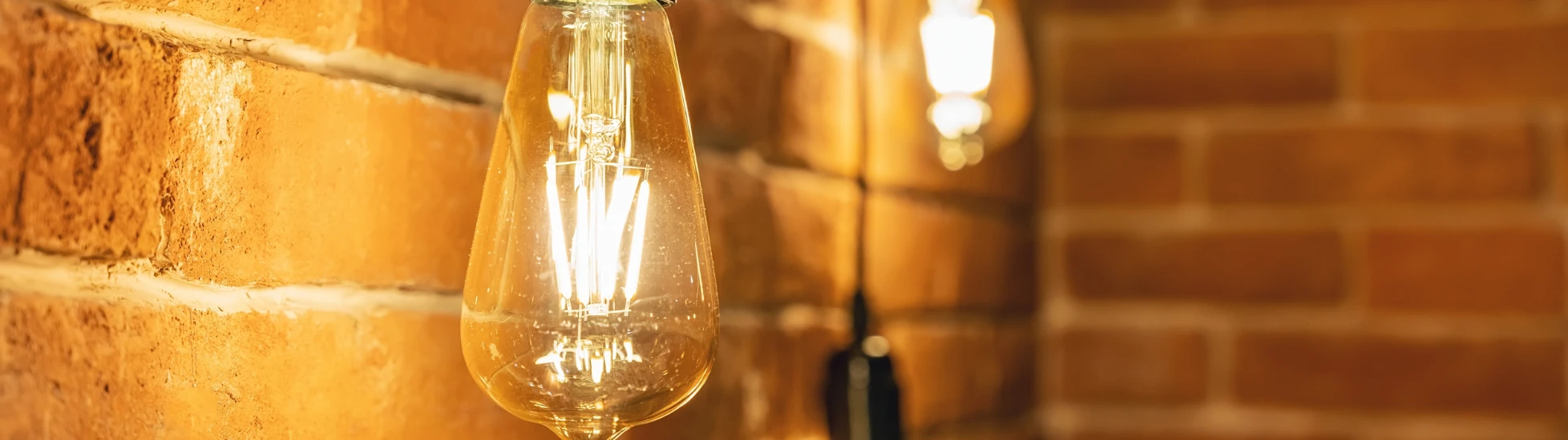 Close up shot of three lightbulbs