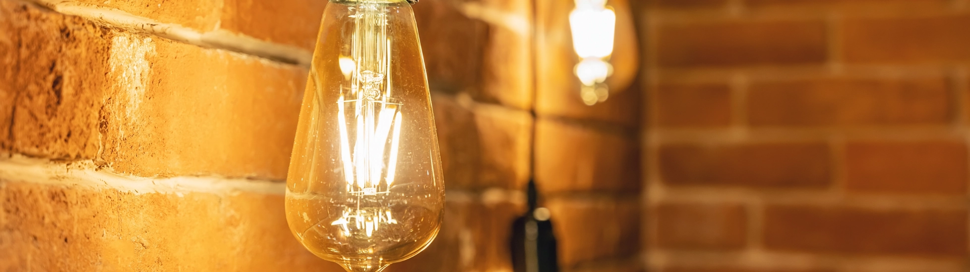 Close up shot of three lightbulbs