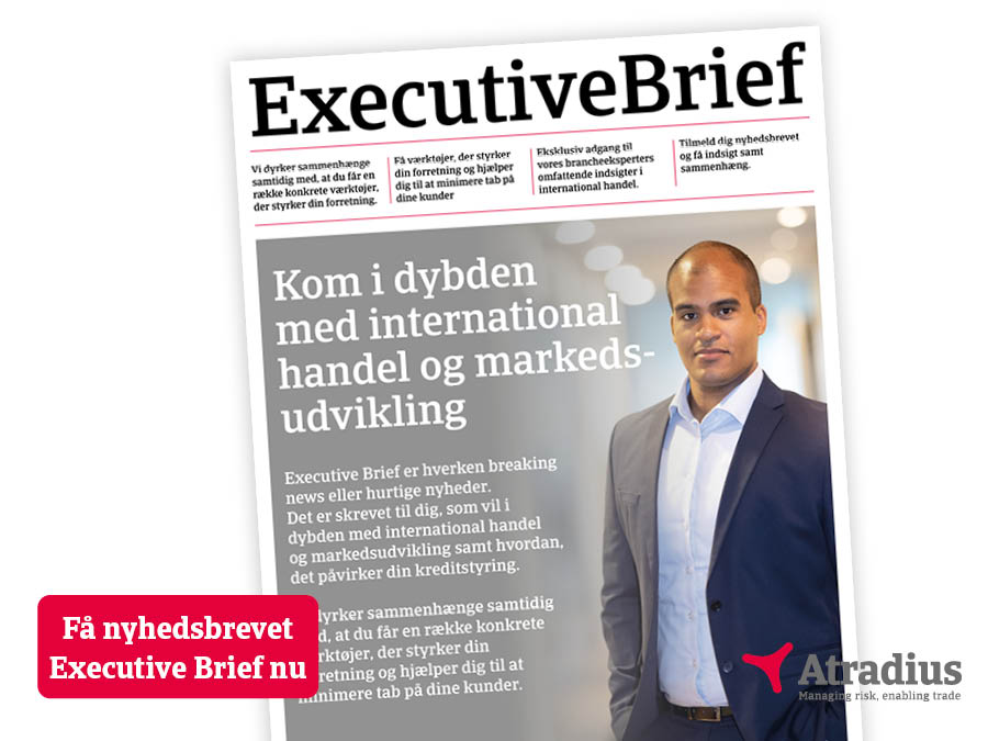 (DK-dk) Executive brief freemium (image)